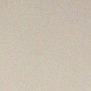 Meet your Posher, Beau